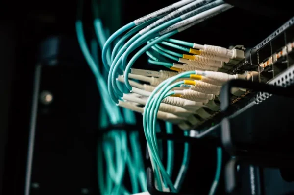 Bus Network Topology: Advantages and Disadvantages